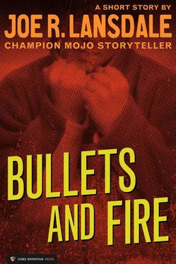 Joe Lansdale Bullets and Fire обложка книги