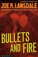 Joe Lansdale - Bullets and Fire