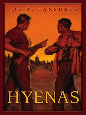 Joe Lansdale Hyenas обложка книги