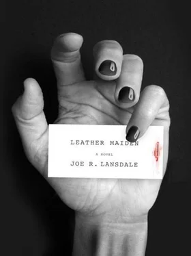 Joe Lansdale Leather Maiden обложка книги