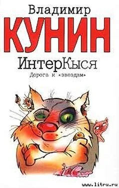 Владимир Кунин ИнтерКыся. Дорога к «звездам» обложка книги