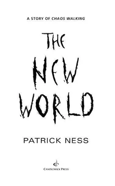 Patrick Ness The New World обложка книги