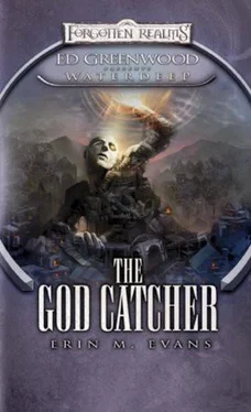 Erin Evans The God Catcher обложка книги