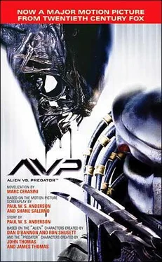 Marc Cerasini AVP: Alien vs. Predator обложка книги