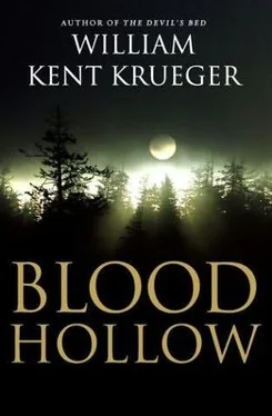 William Krueger Blood Hollow обложка книги