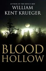 William Krueger - Blood Hollow