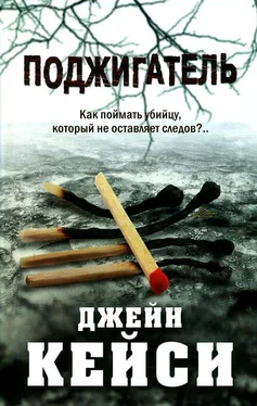 Джейн Кейси Поджигатель обложка книги