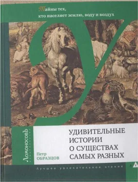 Петр Образцов Удивительные истории о существах самых разных обложка книги