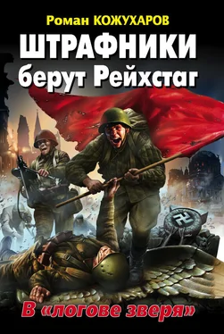 Роман Кожухаров Штрафники берут Рейхстаг. В «логове зверя» обложка книги