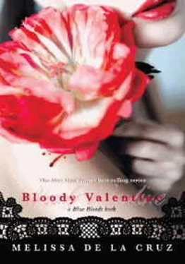 Мелисса де ла Круз Кровавый Валентин[любительский перевод] обложка книги