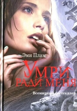 Эми Плам Умри ради меня обложка книги