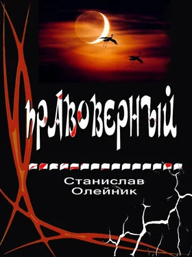 Станислав Олейник Правоверный обложка книги