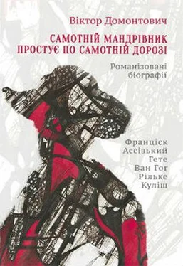 Віктор Домонтович Самотній мандрівник простує по самотній дорозі [Романізовані біографії. Оповідання, роман] обложка книги