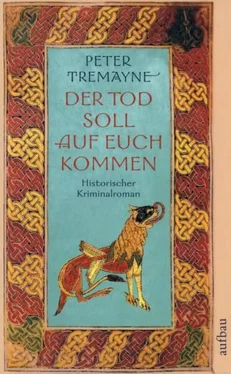 Peter Tremayne Der Tod soll auf euch kommen обложка книги