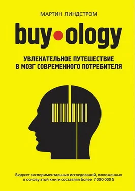 Мартин Линдстром Buyology: увлекательное путешествие в мозг современного потребителя обложка книги