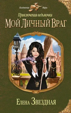 Елена Звездная Мой личный враг обложка книги