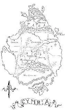 K. Taylor The Shadow's heir обложка книги