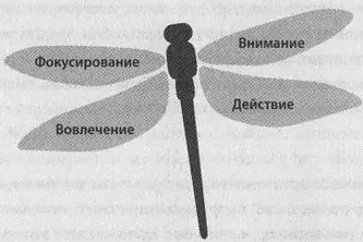 Стрекоза способна быстро пролетать значительные расстояния только если все - фото 16