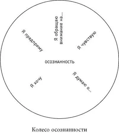 Я обращаю внимание на осознанность в восприятии и действии В данный момент - фото 1