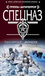 Сергей Донской - Арктическое вторжение