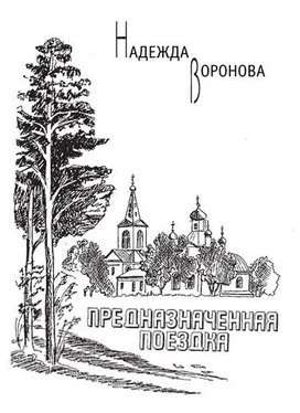 Надежда Воронова Предназначенная поездка (сборник) обложка книги