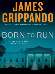 James Grippando - Born to Run