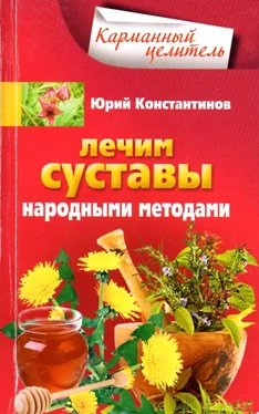 Юрий Константинов Лечим суставы народными методами обложка книги