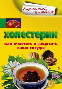 А. Мухин Холестерин. Как очистить и защитить ваши сосуды обложка книги