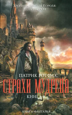 Патрик Ротфусс Страхи мудреца. Книга 1 обложка книги