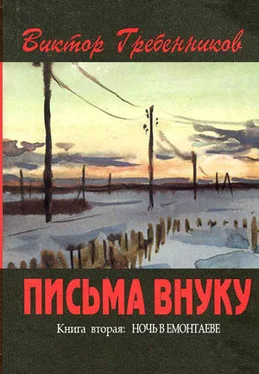 Виктор Гребенников Письма внуку. Книга вторая: Ночь в Емонтаеве. обложка книги