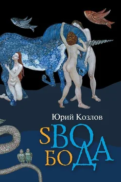 Юрий Козлов sВОбоДА обложка книги