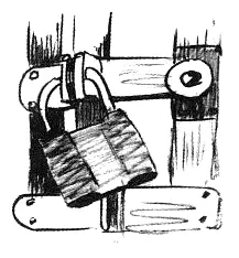 Клетка была сделана из ячеистого проволочного забора вместо крыши лежала - фото 35