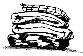 Наутро Роб помогал Уилли Мей в бельевой Они складывали наволочки и простыни и - фото 44