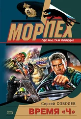 Сергей Соболев - Время «Ч»