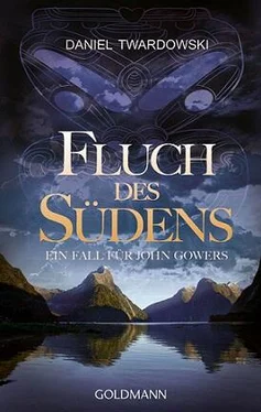 Daniel Twardowski Fluch des Südens обложка книги