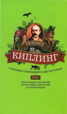 Редьярд Киплинг Собрание сочинений. Том 3. Первая книга джунглей. Вторая книга джунглей. В горной Индии обложка книги