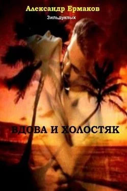 Александр Ермаков Зильдукпых Вдова и холостяк обложка книги