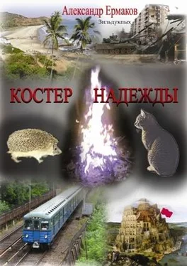 Александр Ермаков Зильдукпых Костер надежды обложка книги