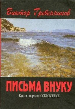 Виктор Гребенников Письма внуку. Книга первая: Сокровенное. обложка книги