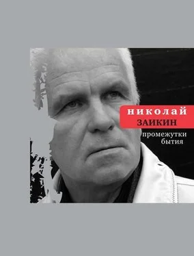 Николай Заикин Промежутки бытия обложка книги