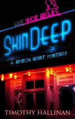 Timothy Hallinan - Skin Deep