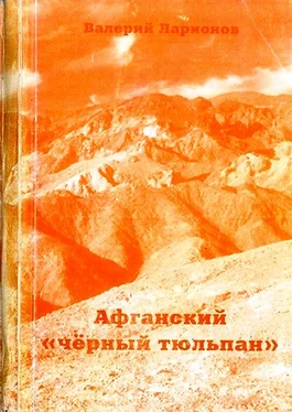 Валерий Ларионов Афганский «черный тюльпан» обложка книги