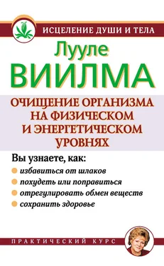 Лууле Виилма Очищение организма на физическом и энергетическом уровнях обложка книги