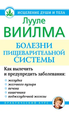 Лууле Виилма Болезни пищеварительной системы обложка книги