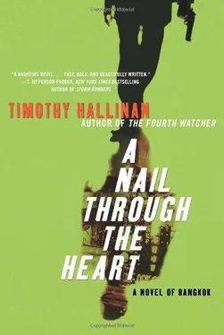 Timothy Hallinan A Nail Through the Heart обложка книги