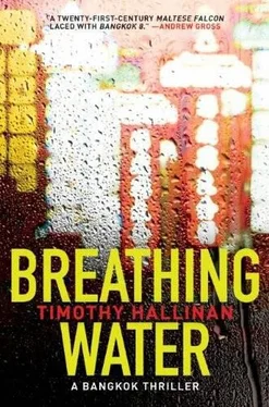 Timothy Hallinan Breathing Water: A Bangkok Thriller обложка книги