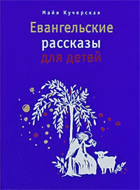 Майя Кучерская Евангельские рассказы для детей обложка книги