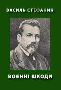 Василь Стефаник Воєнні шкоди обложка книги