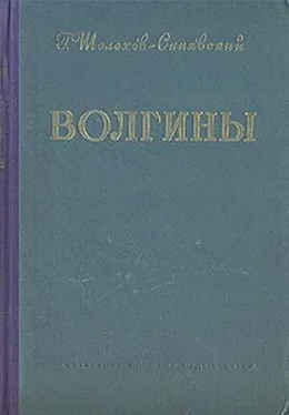 Георгий Шолохов-Синявский Волгины обложка книги