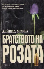 Дейвид Морел - Братството на розата